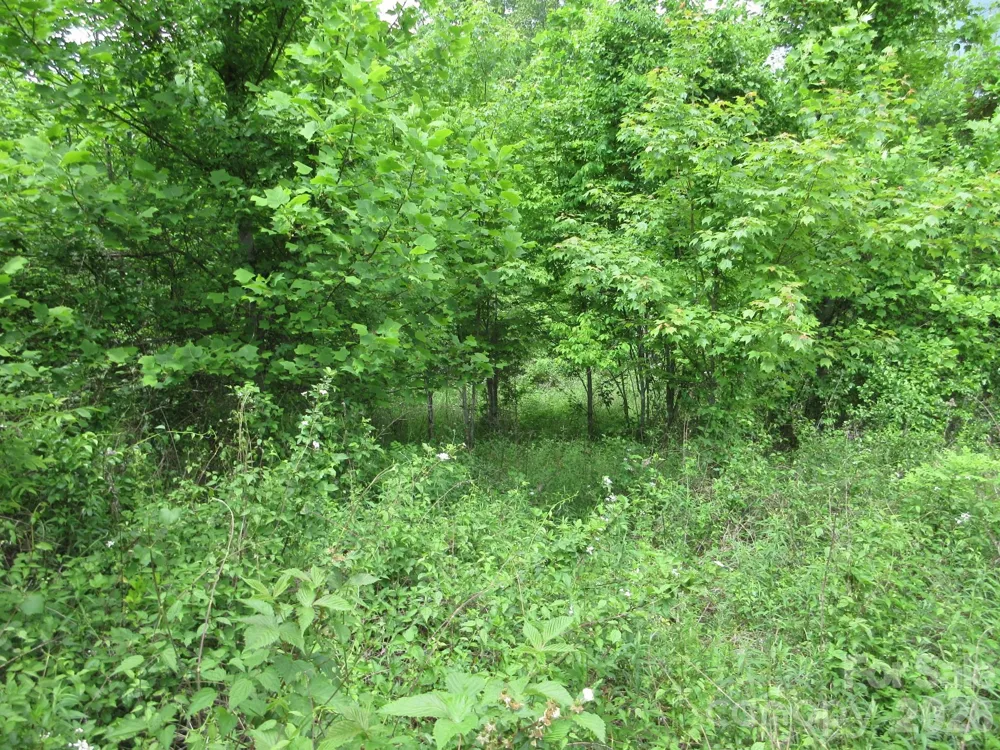 0 Rocky Top Trail #4 Hot Springs, NC 28743