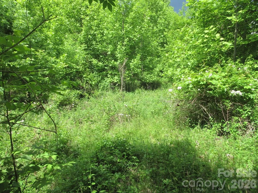 0 Rocky Top Trail #4 Hot Springs, NC 28743