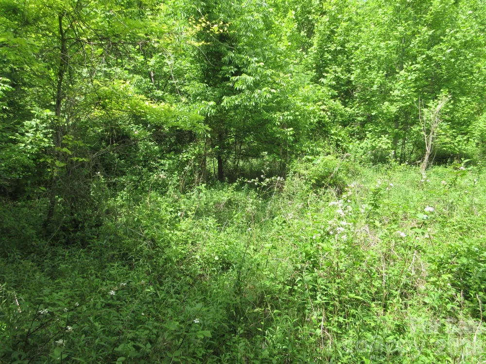 0 Rocky Top Trail #4 Hot Springs, NC 28743