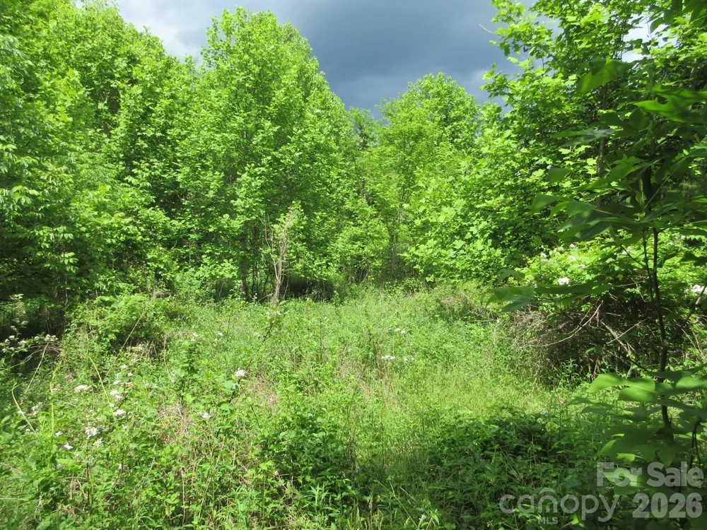 0 Rocky Top Trail #4 Hot Springs, NC 28743