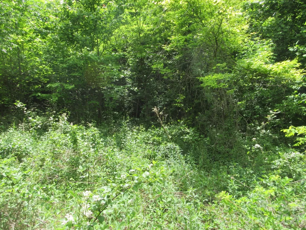 0 Rocky Top Trail #4 Hot Springs, NC 28743