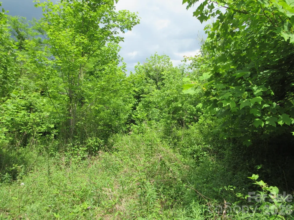 0 Rocky Top Trail #4 Hot Springs, NC 28743