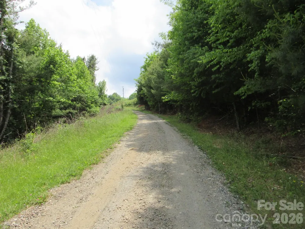 0 Rocky Top Trail #4 Hot Springs, NC 28743
