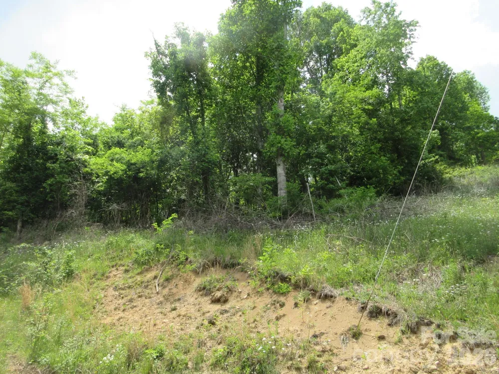 0 Rocky Top Trail #4 Hot Springs, NC 28743