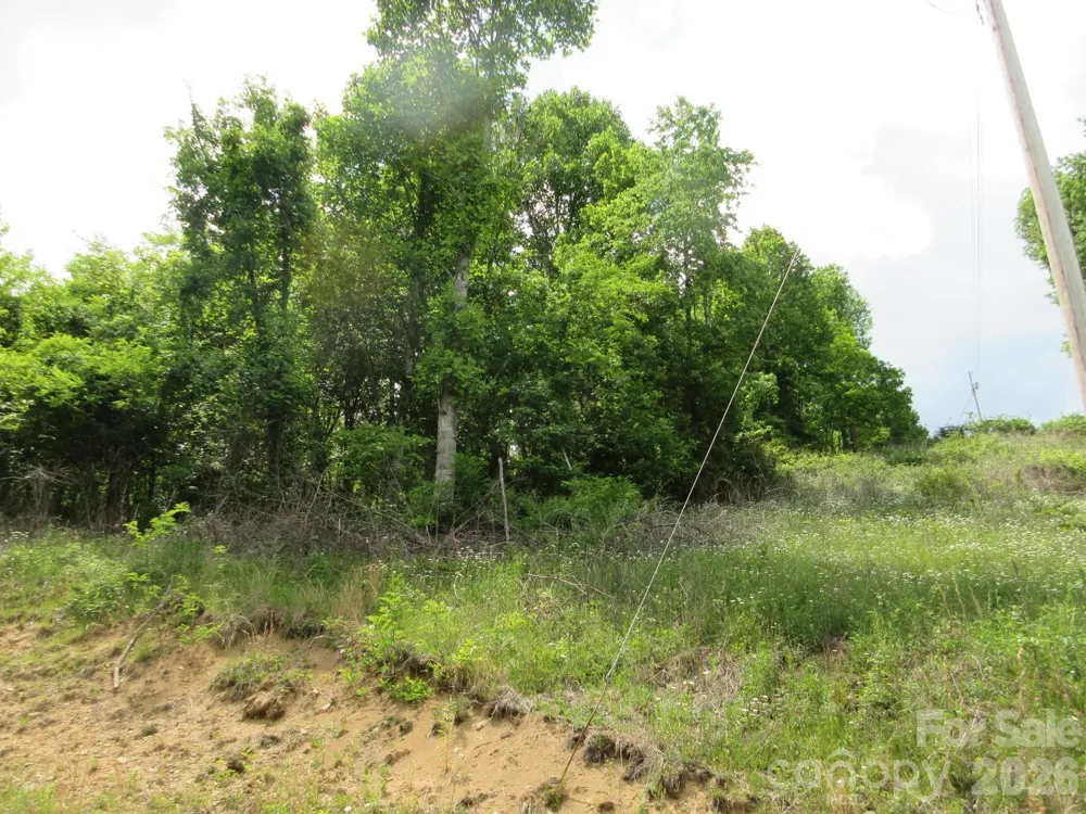 0 Rocky Top Trail #4 Hot Springs, NC 28743
