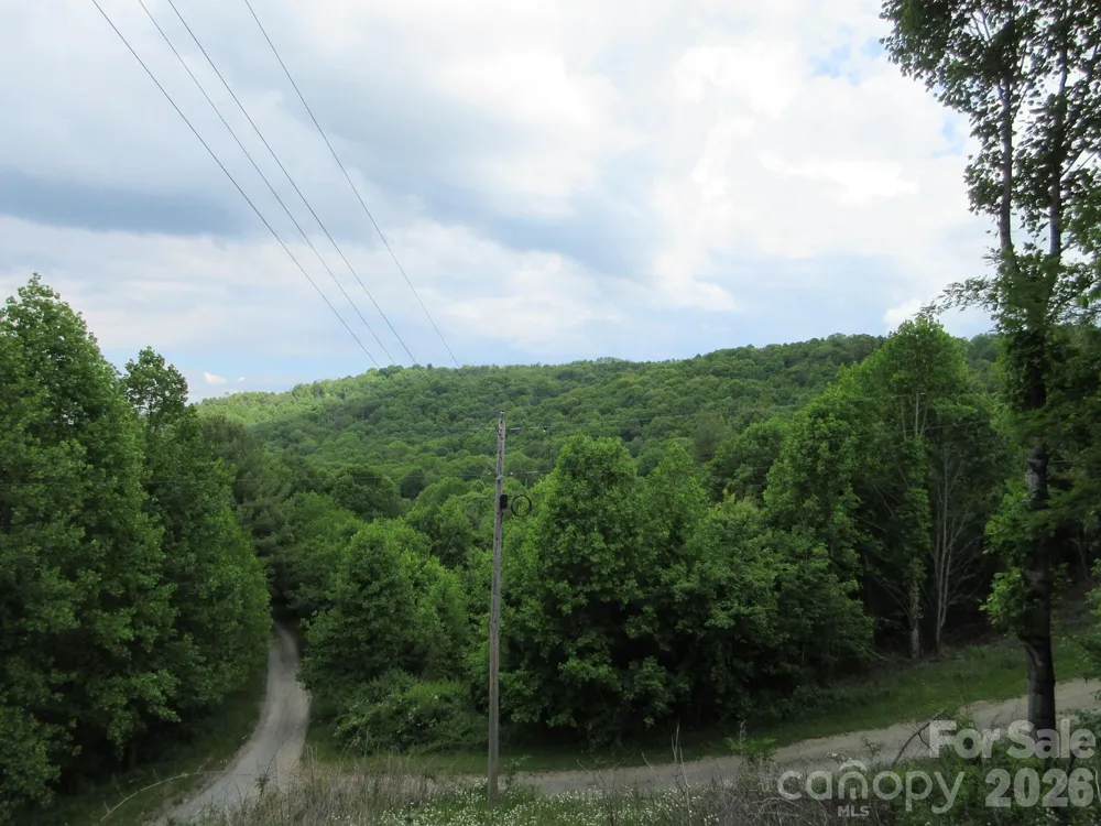 0 Rocky Top Trail #4 Hot Springs, NC 28743