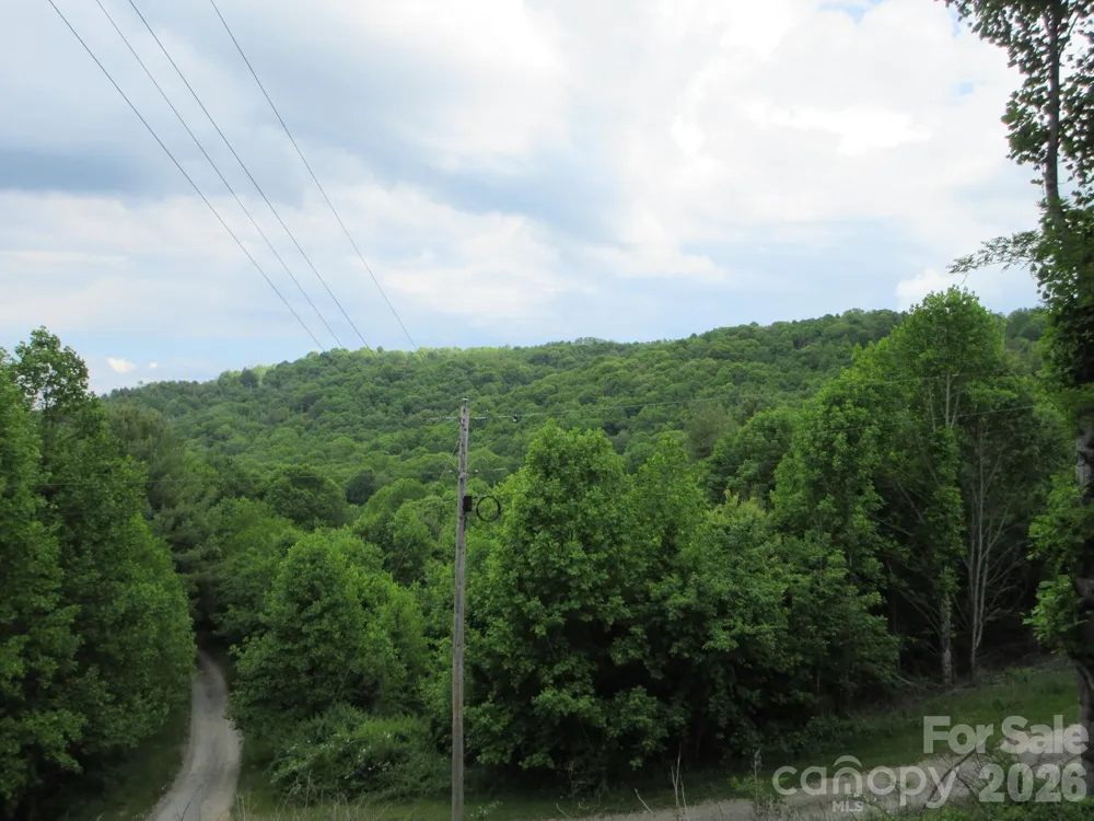 0 Rocky Top Trail #4 Hot Springs, NC 28743