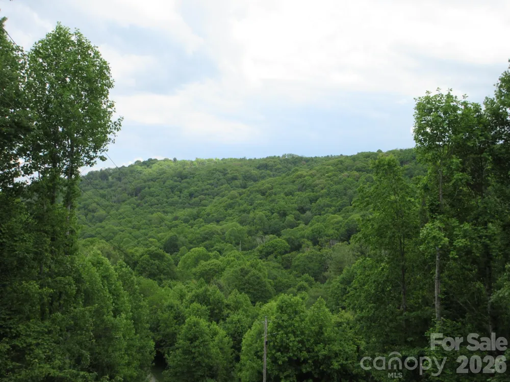 0 Rocky Top Trail #4 Hot Springs, NC 28743