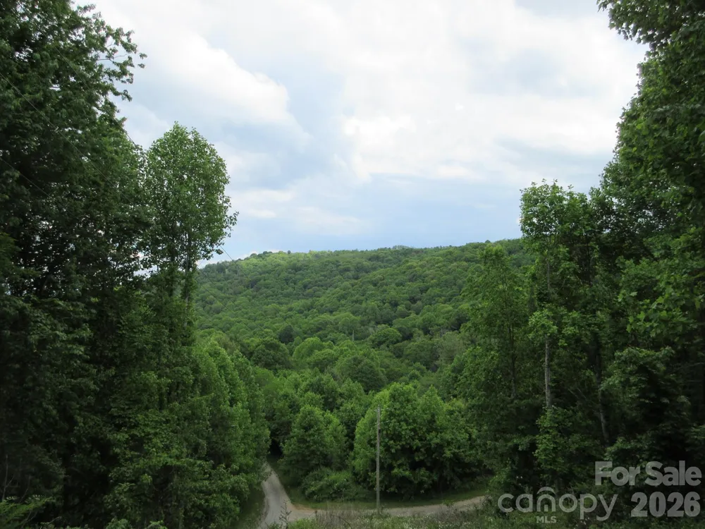 0 Rocky Top Trail #4 Hot Springs, NC 28743