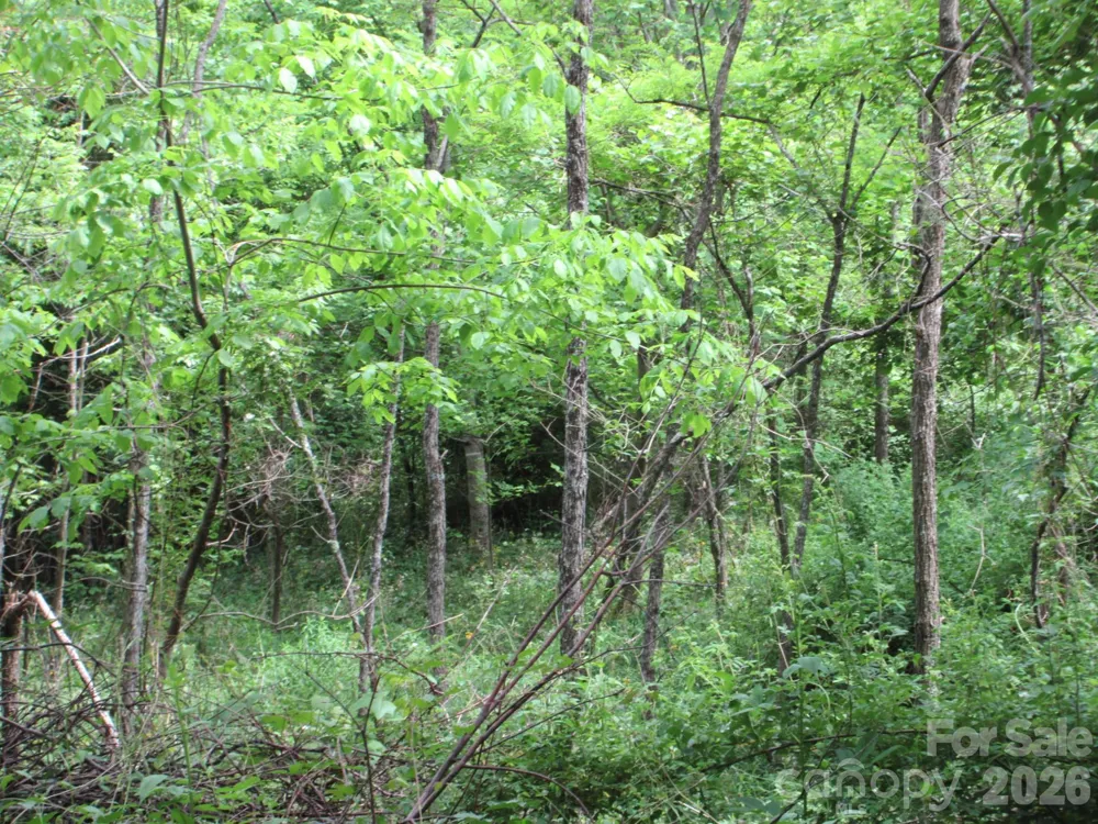 0 Rocky Top Trail #4 Hot Springs, NC 28743