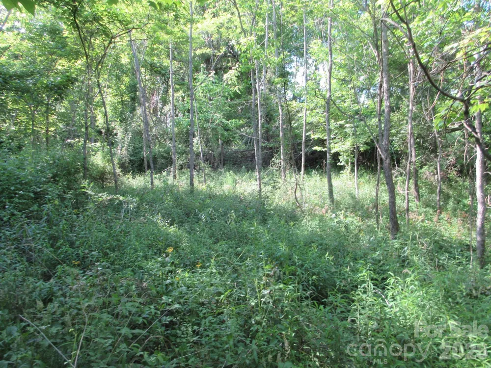 0 Rocky Top Trail #4 Hot Springs, NC 28743