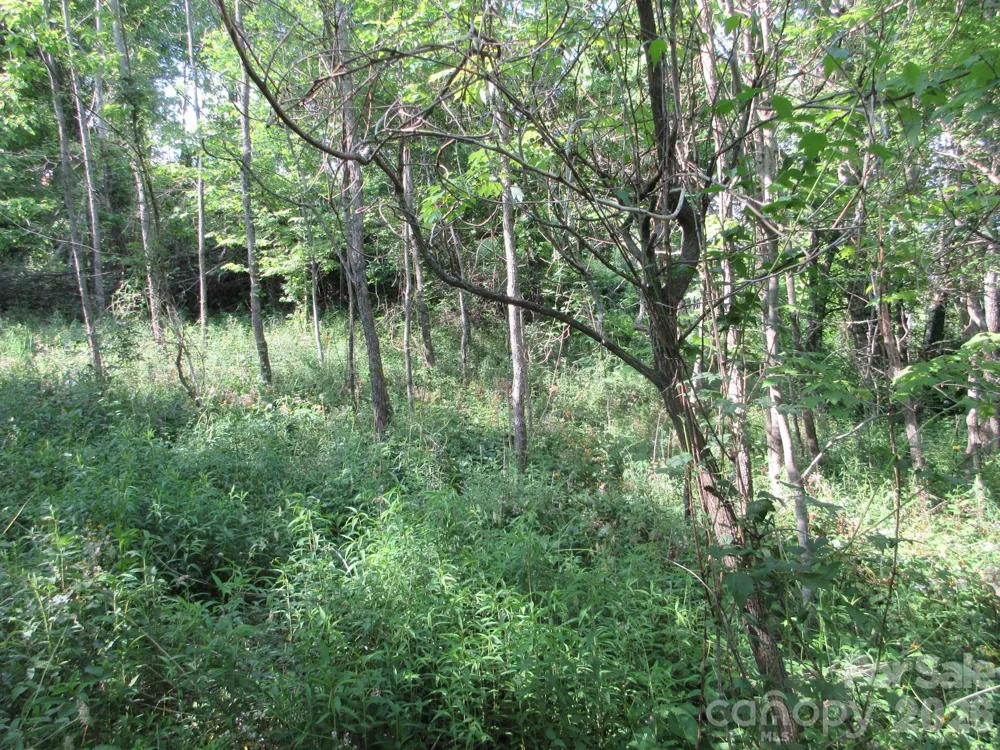0 Rocky Top Trail #4 Hot Springs, NC 28743