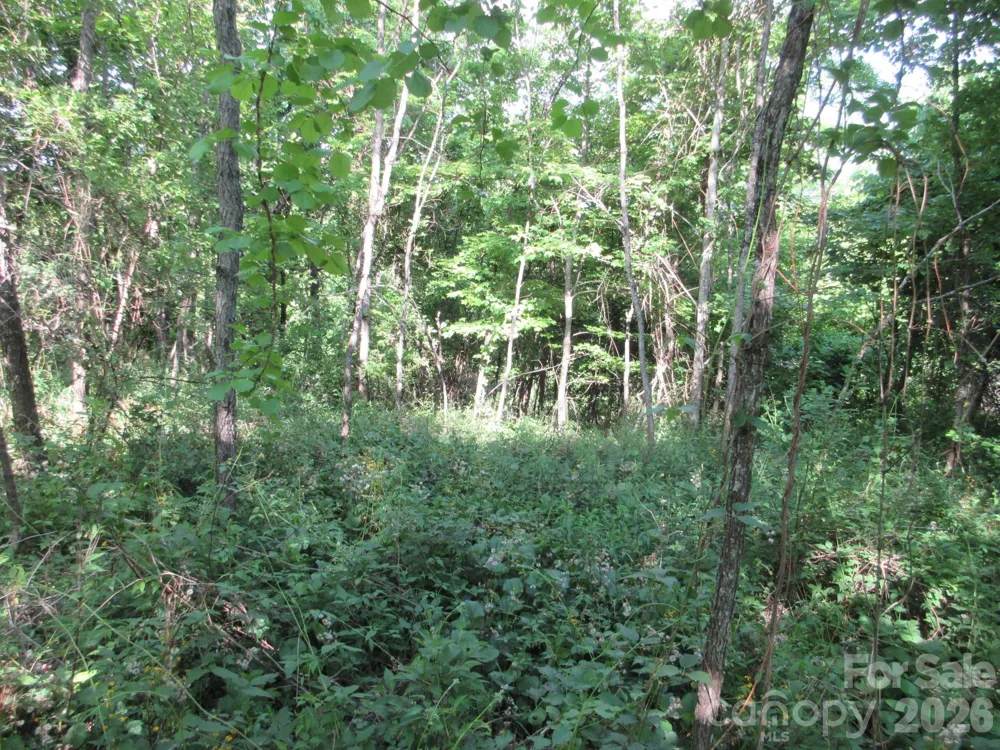 0 Rocky Top Trail #4 Hot Springs, NC 28743