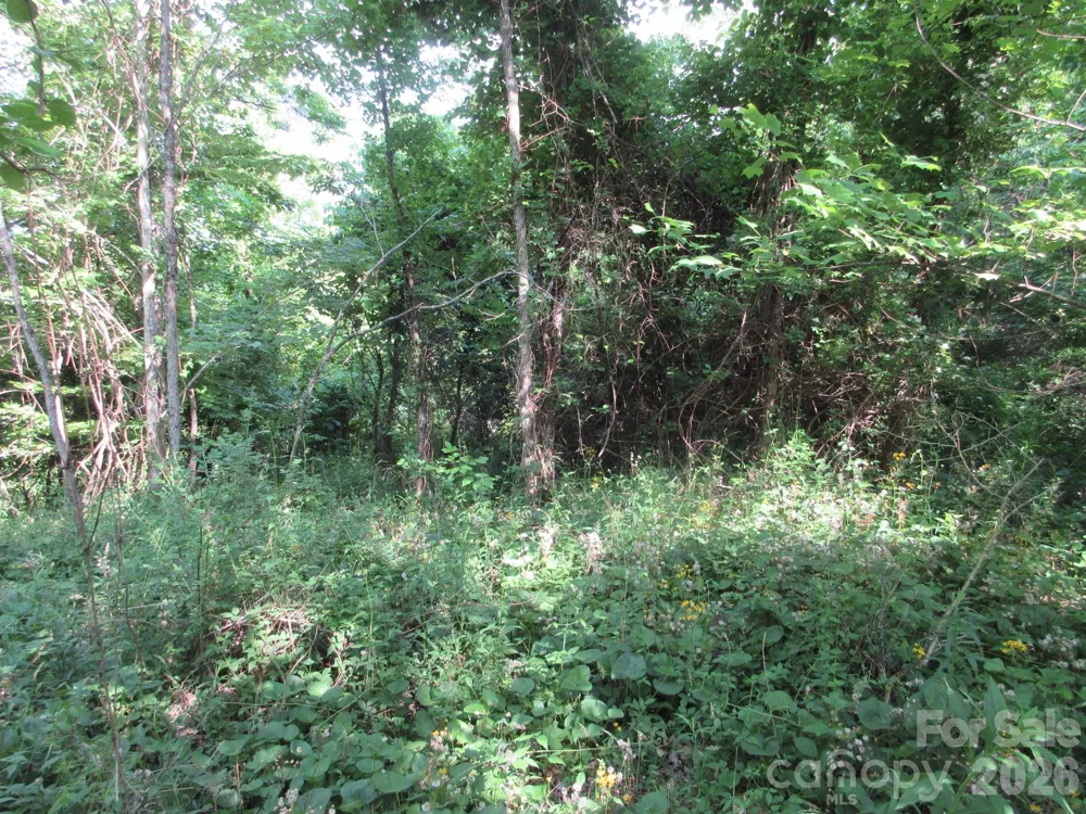 0 Rocky Top Trail #4 Hot Springs, NC 28743