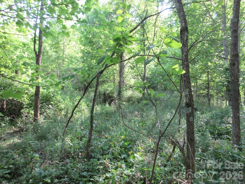 0 Rocky Top Trail #4 Hot Springs, NC 28743