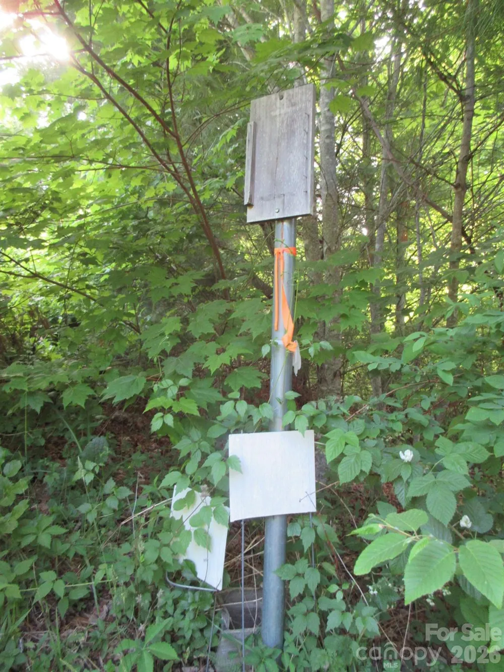 0 Rocky Top Trail #4 Hot Springs, NC 28743