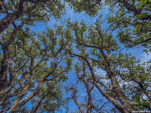 000 W SD 45425 Rocksprings, TX 78880