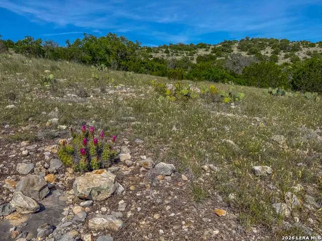 000 W SD 45425 Rocksprings, TX 78880