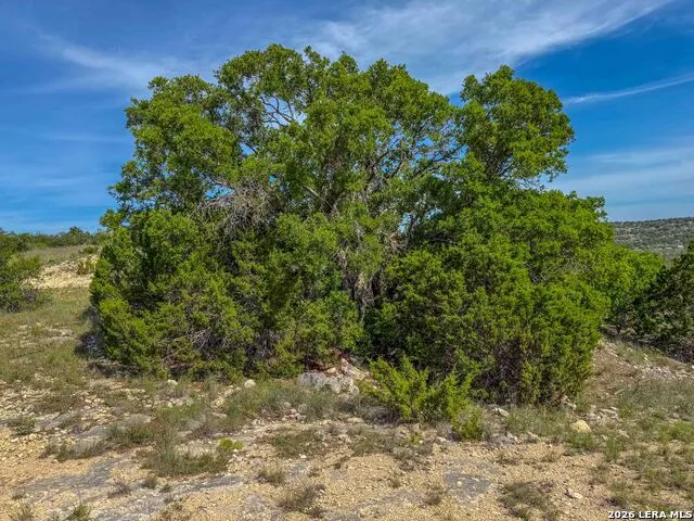 000 W SD 45425 Rocksprings, TX 78880