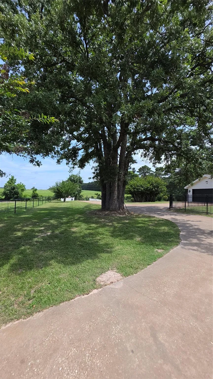 6099 Fm 227 W Grapeland, TX 75844