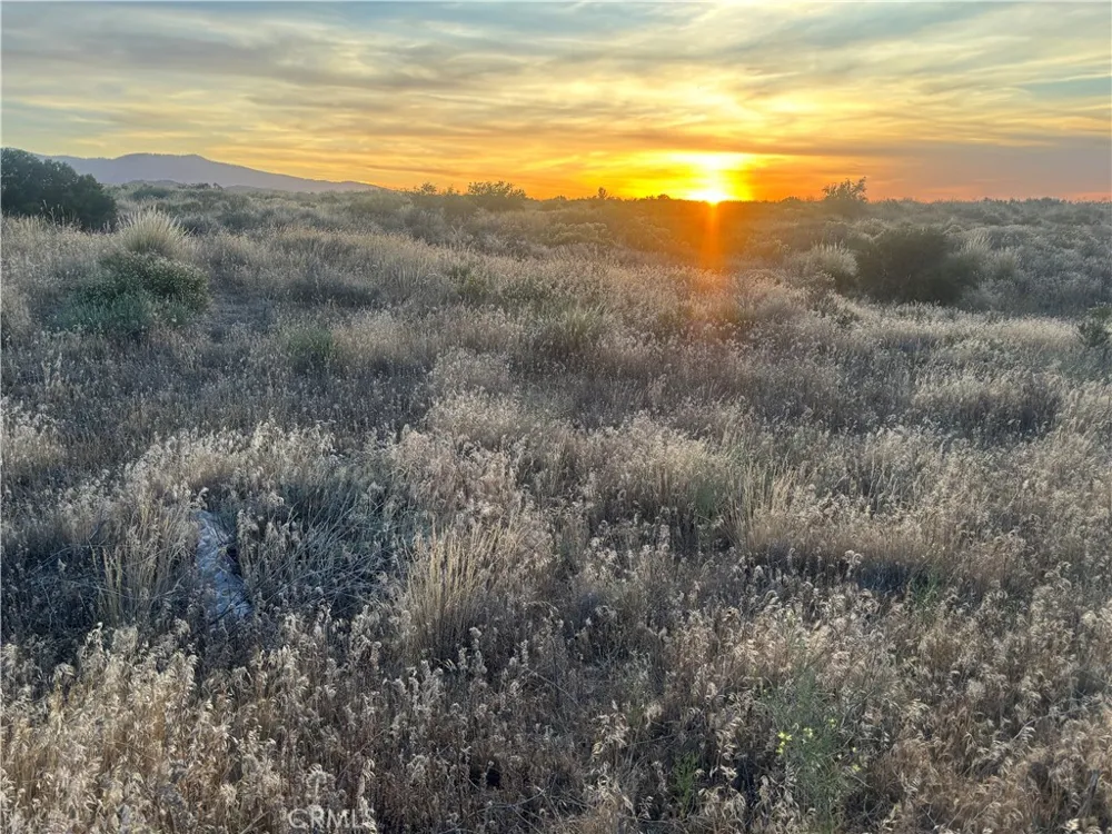 Wilson Ranch Phelan, CA 92371