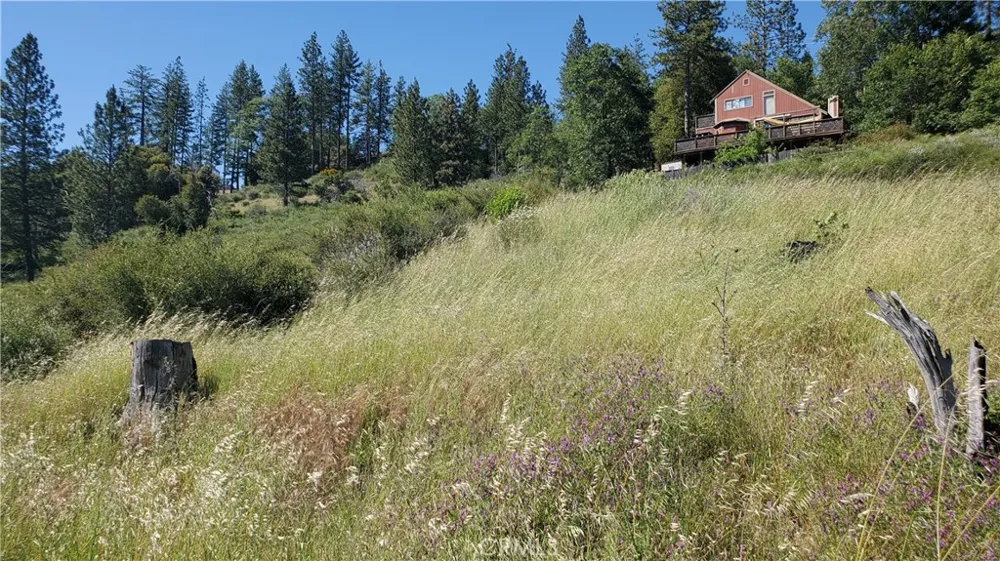 9334 Bleuss Way Cobb, CA 95426