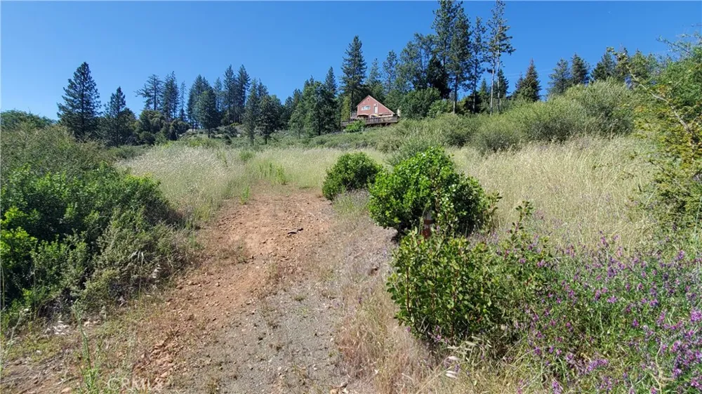 9334 Bleuss Way Cobb, CA 95426