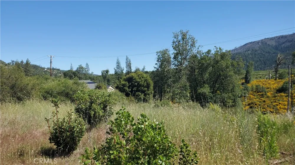9334 Bleuss Way Cobb, CA 95426