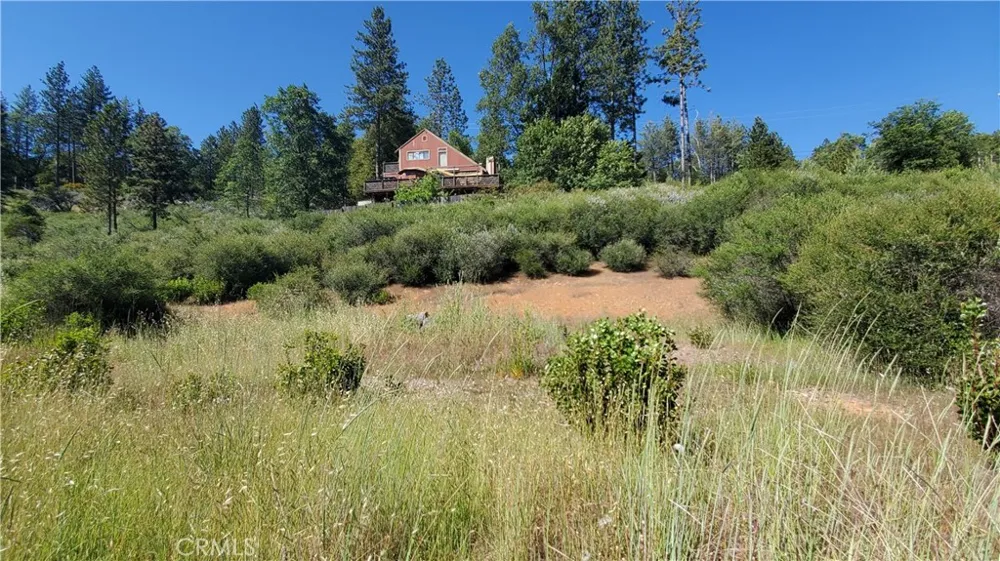 9334 Bleuss Way Cobb, CA 95426