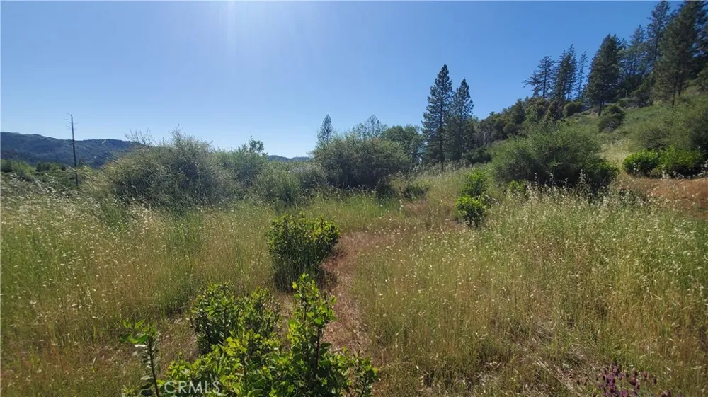9334 Bleuss Way Cobb, CA 95426