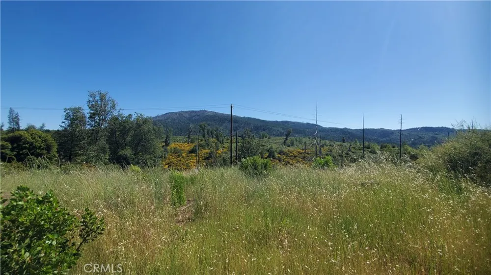 9334 Bleuss Way Cobb, CA 95426