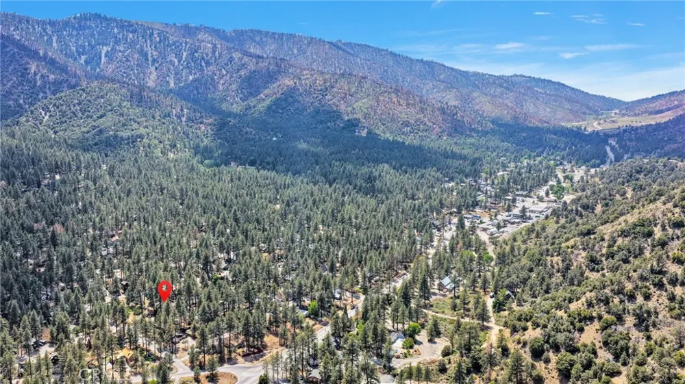 1661 Virginia Street Wrightwood, CA 92397