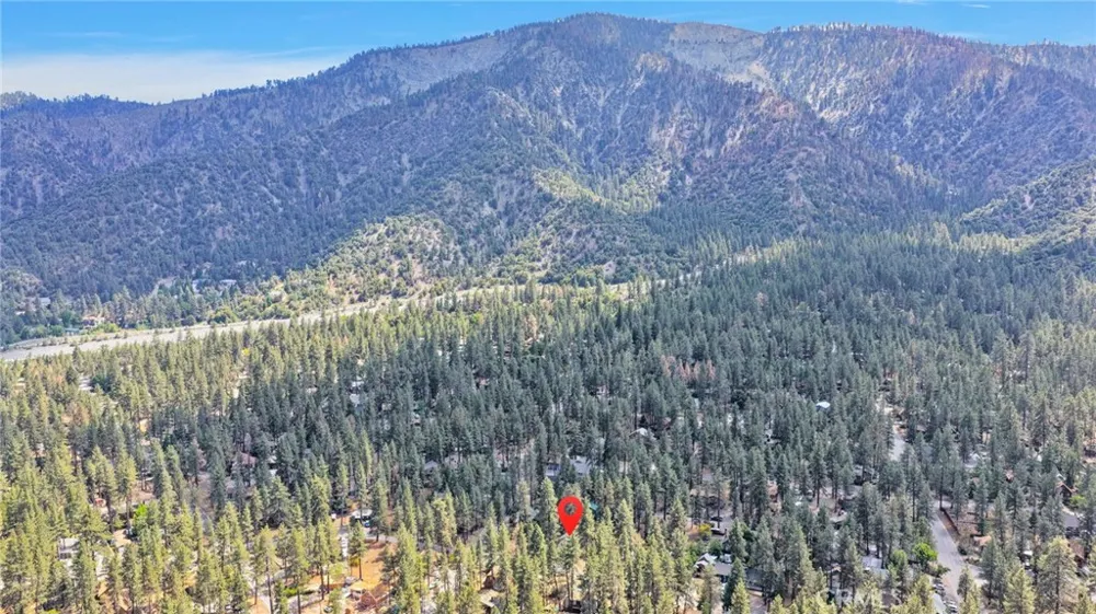 1661 Virginia Street Wrightwood, CA 92397