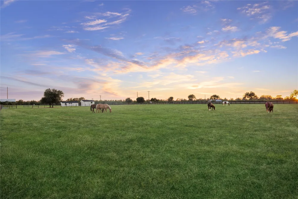 40570 Wild life Run Hempstead, TX 77445