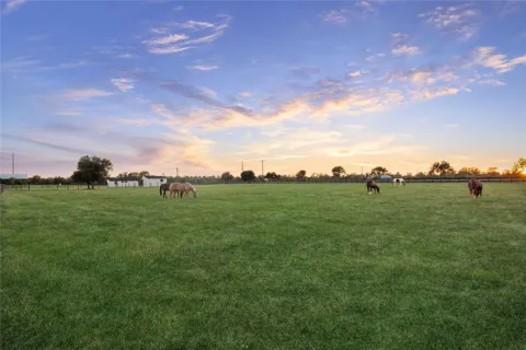 40570 Wild life Run