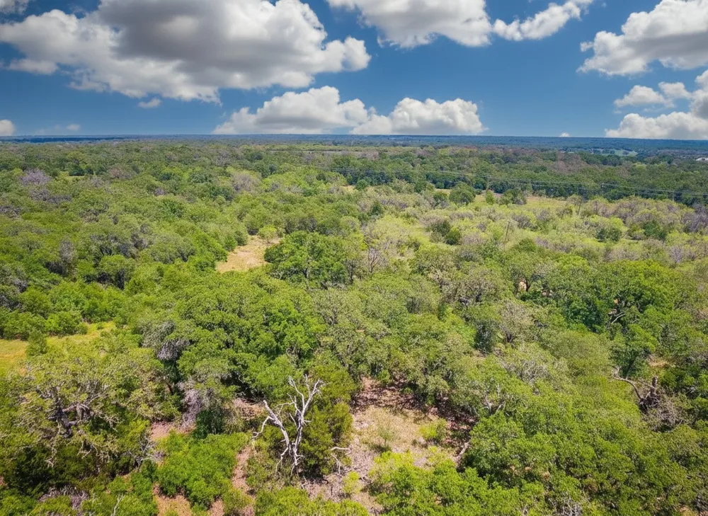 1096 County Road 345 Ranger, TX 76470