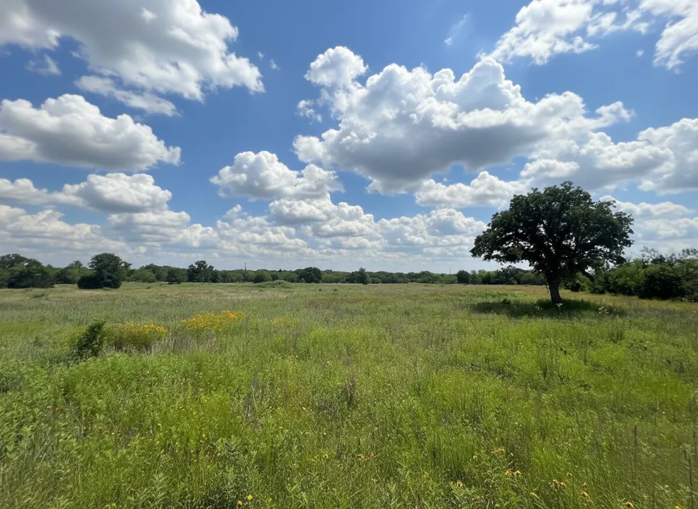 1096 County Road 345 Ranger, TX 76470