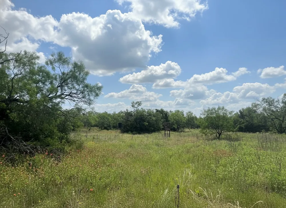 1096 County Road 345 Ranger, TX 76470