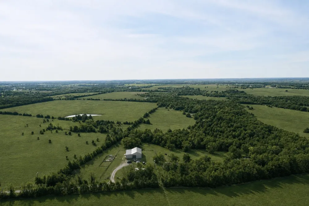 2800 County Road 2905 Dodd City, TX 75438