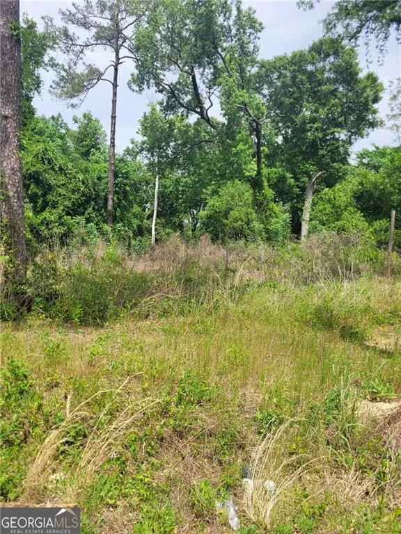 3340 Riggins Mill Road Macon, GA 31217
