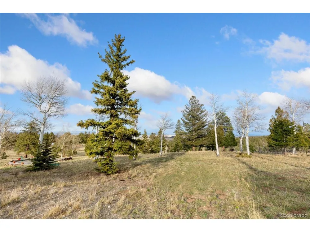 937 Pitchfork Road Hartsel, CO 80449