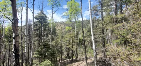 Lot 5610 Dawson Road