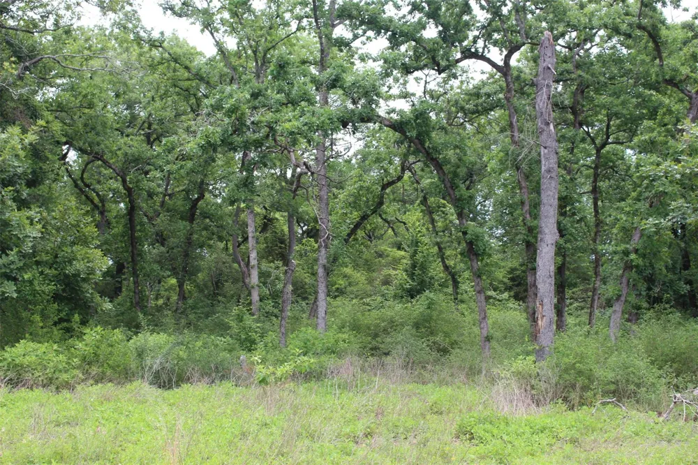 174 Pr 1311 Centerville, TX 75833