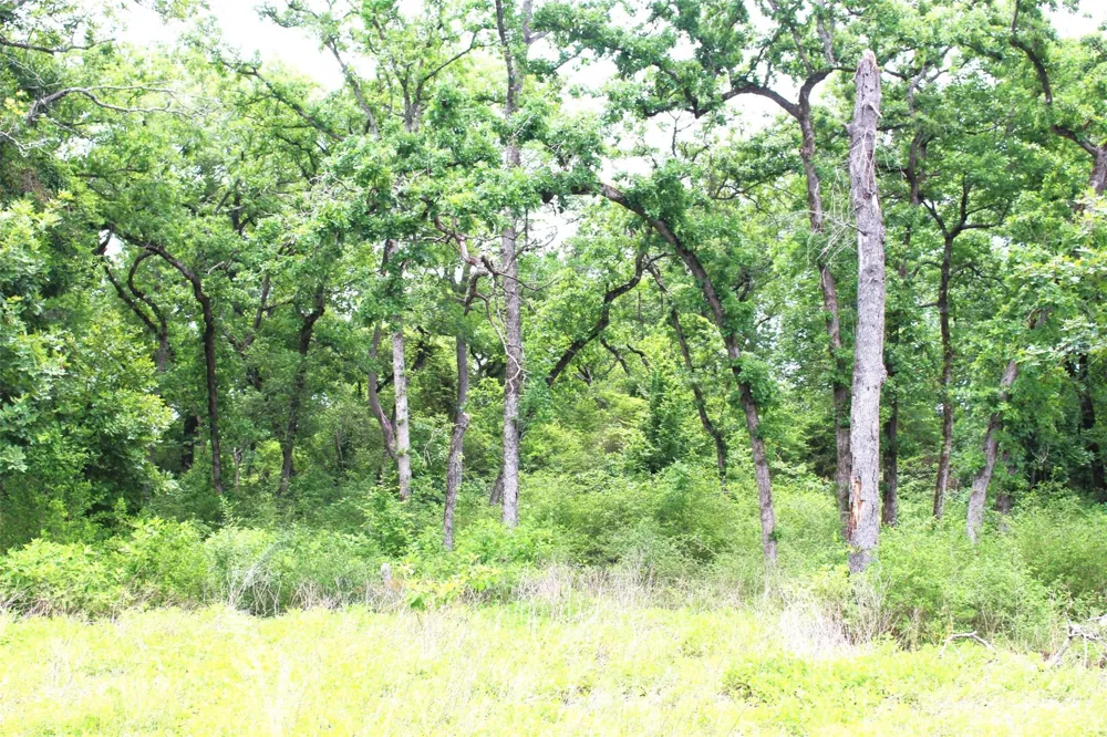 174 Pr 1311 Centerville, TX 75833