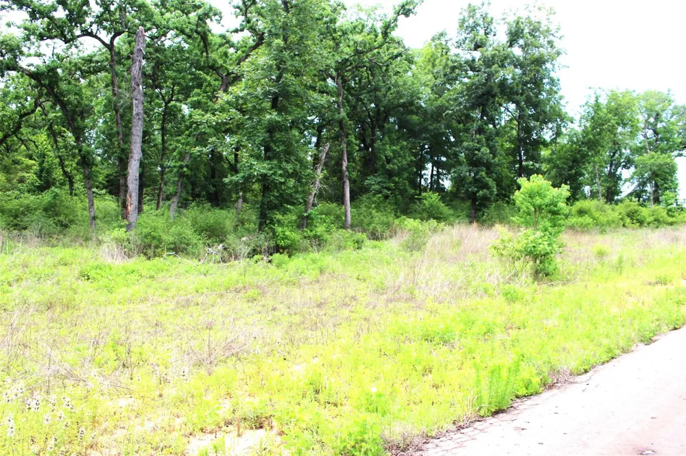 174 Pr 1311 Centerville, TX 75833