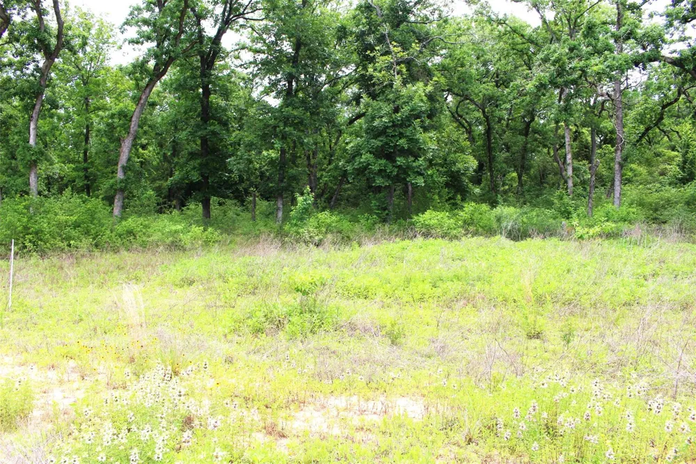 174 Pr 1311 Centerville, TX 75833