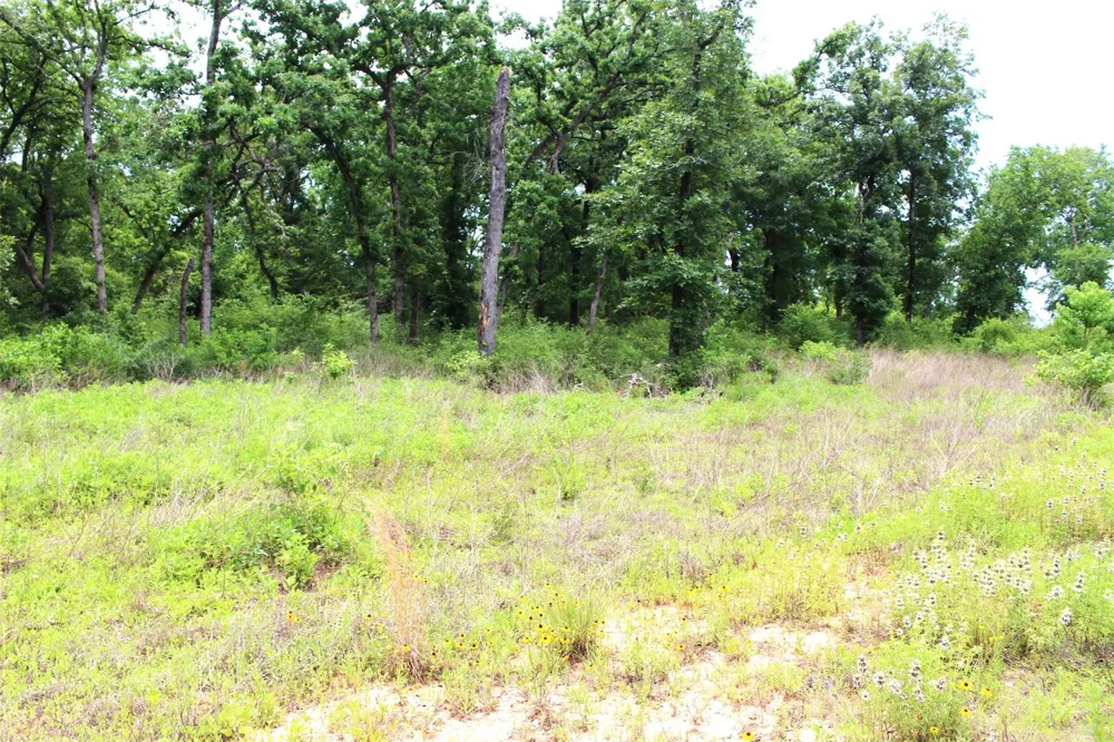 174 Pr 1311 Centerville, TX 75833