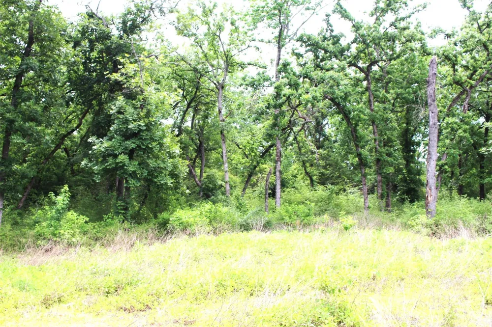 174 Pr 1311 Centerville, TX 75833