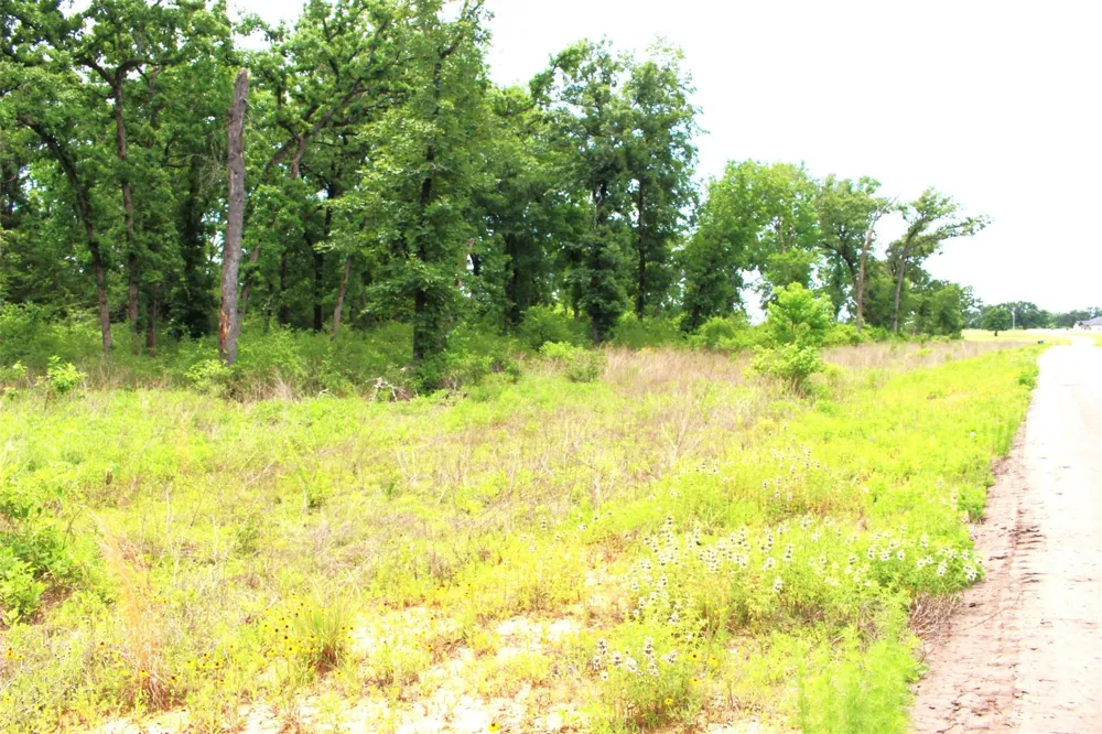174 Pr 1311 Centerville, TX 75833