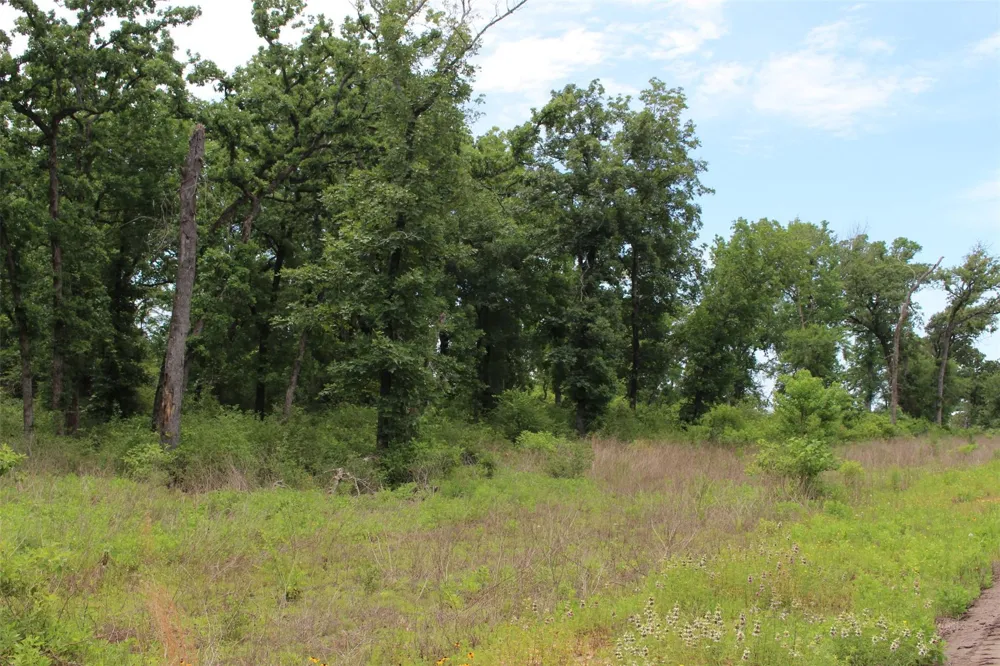 174 Pr 1311 Centerville, TX 75833